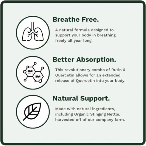 Allurtica Sinus & Respiratory Support Supplement, Quercetin and Stinging Nettle, 40 Capsules
