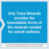 Life Extension Only Trace Minerals, 90 Capsules, Daily Dose of Zinc, Chromium, Boron, Copper, Gluten-Free, Non-GMO