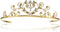 Porcelain Rose Flower Rhinestone Crystal Halloween Costume Tiara