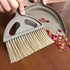 Small Broom and Dustpan Set, Mini Dustpan and Brush for Home, Camping, Pets, Dorm (2pcs)