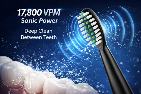 Paradise Bliss Quality 8 5 IPX7 Electric Toothbrush for Adults with Replacement Brush Heads, SunnyNest Rechargeable