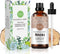 Hinoki Essential Oil (100ML) - 100% Pure Natural Organic Aroma for Diffuser, Massage, and Skin Care