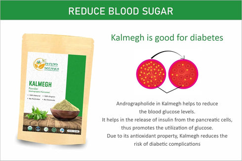 Organic Kalmegh Powder, Andrographis Paniculata, 5.3 oz - Immune Health and Detoxify Liver Support