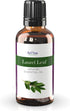ArOmis Laurel Leaf Essential Oil - 100% Pure & Undiluted for Aromatherapy & Diffusers, 30ml (1 Fl oz)