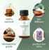 Comfrey Essential Oil by Essential Delights (1oz)- Premium Grade Oil | for Aromatherapy, Soaps, & Candles | Vegan & Cruelty Free