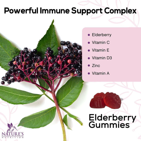 Sambucus Elderberry Immune Gummies, 120 Gummies, Daily Support with Vitamin C, D3, Zinc, Gluten Free Non-GMO