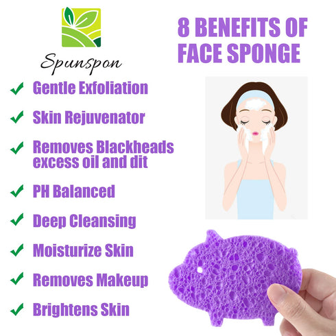 Scratch-Free Multipurpose Dish Sponge, Natural Cellulose Sponges for Makeup Removal and Car Cleaning, 50 Count Purple