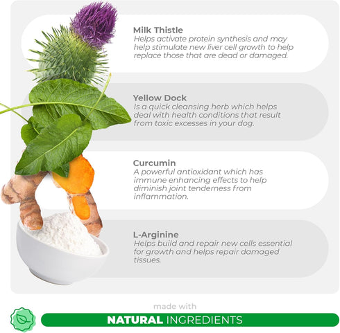Milk Thistle for Dogs - 90 Soft Chews for Liver and Kidney Support, Detox, EPA & DHA, Choline, L-Arginine