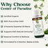 Immune Immune (10 ml) Center of Paradise Restart Kids Organic Essential Oil Blend for Support - USDA Certified, Pure