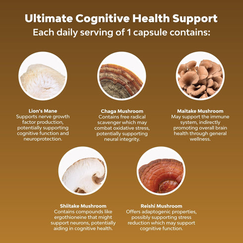 Advanced Lion's Mane Mushroom Supplement - 5X Fruiting Body Complex with Chaga, Maitake, Shiitake, Reishi (120 Caps)