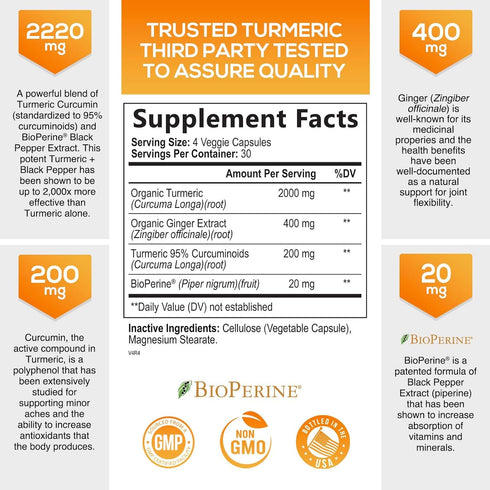 Turmeric Curcumin with BioPerine Black Pepper & Ginger 95% Standardized Curcuminoids 2600mg for Max Absorption Joint & Antioxidant Support, Nature's Tumeric Herbal Extract Supplement - 120 Capsules