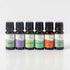 Set 6 10 mL (1/3 oz) 100% Plant Therapy Breathe Easy Essential Oil of Bottles Each, Lavender, Eucalyptus, Peppermint