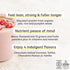 Form Superblend Protein, Vegan Protein Powder with Superfoods, Vitamins and Minerals, Chocolate Peanut