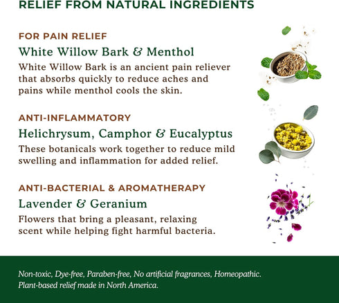 Nature’s Willow Fast-Acting Willow Balm Natural Pain Relief Patches, 1-Pack, 6 Patches for Muscle & Joint Pain