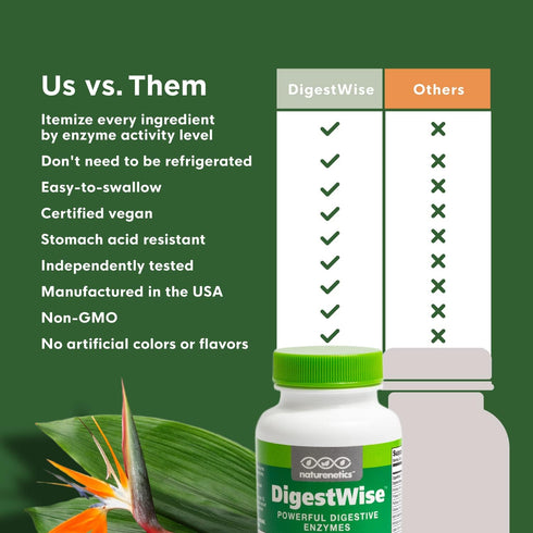 Naturenetics DigestWise Digestive Enzymes - 90 Capsules (1) for Digestion, Gas, Bloating & Constipation Relief