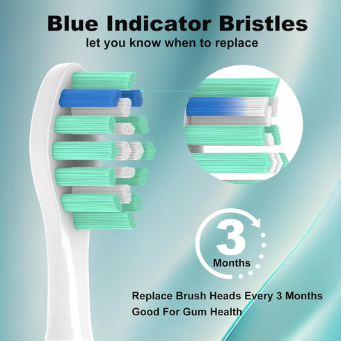 Replacement Toothbrush Heads for Philips Sonicare - 12 Pack Compatible Brush Heads for Electric Toothbrushes