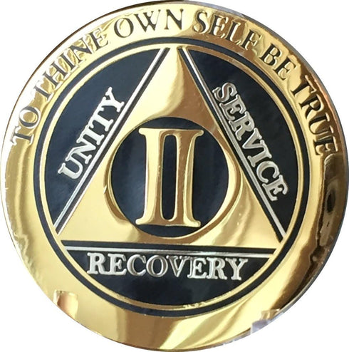 RecoveryChip 2 Year AA Medallion, Elegant Black Gold Silver Bi-Plated Alcoholics Anonymous Chip