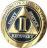 RecoveryChip 2 Year AA Medallion, Elegant Black Gold Silver Bi-Plated Alcoholics Anonymous Chip