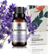 Lavender Essential Oil, 30ML, 100% Pure Natural Organic Oil for Diffuser, Massage, Skin Care, Yoga