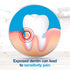 Sensodyne Toothpaste for Sensitive Teeth, Maximum Strength Extra Whitening, 6.5 oz (3 pack)