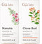 Manuka Essential Oil for Nail & Clove Oil for Tooth Aches Set