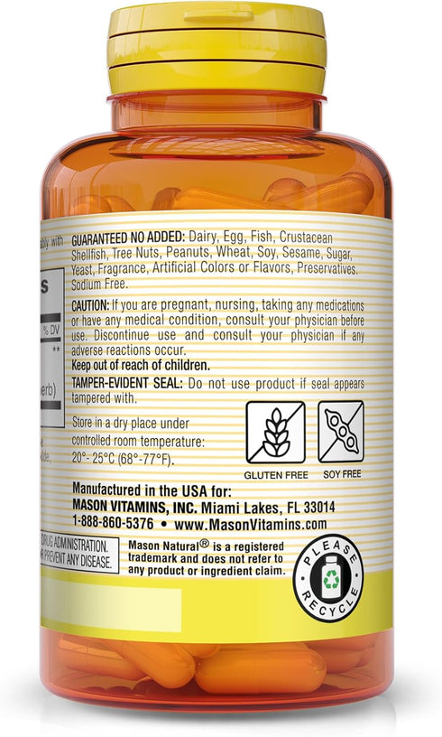 MASON NATURAL Ginkgo Biloba Herbal Supplement, 60 Capsules (Pack of 3) - Improve Mental Alertness & Brain Function