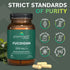Fucoidan Gut Health & Immune Support Supplement – 250mg, 60 Count - Premium Brown Seaweed Extract for Immune System &