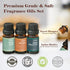 Hotel Collection Diffuser Oil Set - Fragrance Oil for Candle Making, Soap Scents, and Essential Oils 6x10ml.