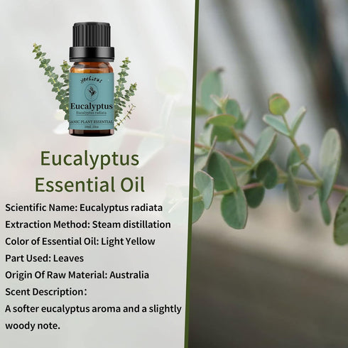 Organic Lavender Eucalyptus Essential Oil - Pure Plant Oil for Diffusers & Skin Care
