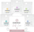 Essence Nasal Diffuser Self Care Bundle Essential Oil Silicone Nose Rings for