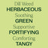 Plant Therapy Dill Weed Essential Oil 10 mL (1/3 oz) 100% Pure, Therapeutic Grade