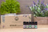 Set Nature's Aid Essential Oil