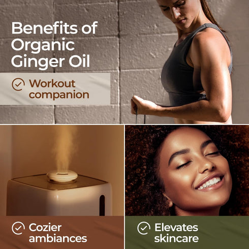 Gya Labs USDA Certified Organic Ginger Essential Oil for Skin - 100% Pure Natural Organic Ginger Oil for Hair & Diffuser