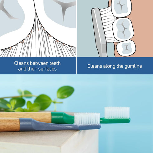 TEPE Choice Soft Toothbrush, Gray, Dental Toothbrush with 3 Replaceable Heads for Effective Teeth Cleaning