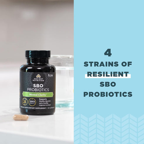 Probiotics for Mental Clarity by Ancient Nutrition - Once Daily Probiotics, 30Ct, Supports Healthy Energy