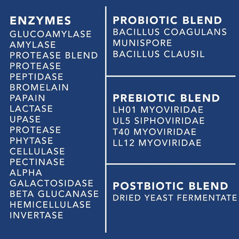 4-in-1 Prebiotic Probiotic & Postbiotic for Complete Gut Support, 60 Capsules