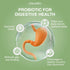 NaturalSlim Good Flora – Probiotics for Digestive Health, Intestinal Flora and Immune Support with Lactobacillus