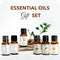 Natural Blend Essential Oil Set - 6 pcs for Diffusers, Aromatherapy, Gifts for Home, Office, Car