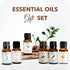 Natural Blend Essential Oil Set - 6 pcs for Diffusers, Aromatherapy, Gifts for Home, Office, Car