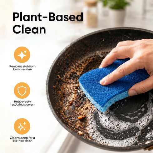 Set, Counter Pack 2, Non-Scratch Cellulose Sponge Kitchen Scrub Sponge with Scouring Pad Good for Non-Stick Cookware