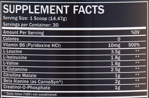 Endurance BCAA Plus - Designed for Training Harder with Beta Alanine - Orange, 434 Gram