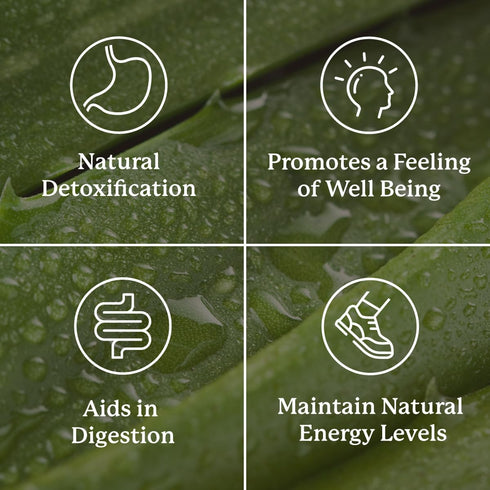 Nature's Sunshine Lower Bowel Stimulator, 100 Vegcaps, Helps Relieve Constipation and Detox