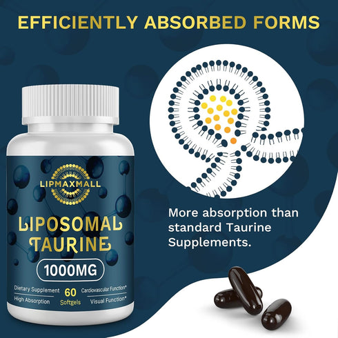Liposomal Taurine Supplement 1000mg - High Absorption Amino Acid for Heart, Nerve, Brain & Muscle, 60 Softgels
