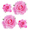 Rose Hair Clip Flower Hairpin, 4 Pcs Fabric Rose Brooch Floral Clips for Women Girls Wedding Party Mother's Day (2