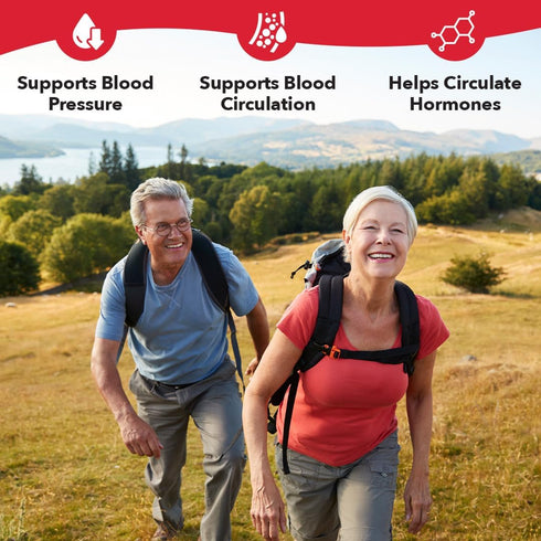 LifeSeasons B/P Stabili-T Blood Pressure Support Vitamin Supplement for Healthy Heart, 120 Capsules