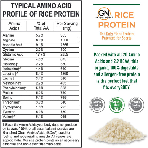 Rice Protein, 16.2 Ounce, Original Unflavored