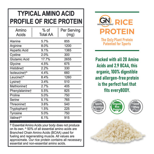 Growing Naturals Vanilla Rice Powder, 15g Plant Protein | 2.8G BCAA, Vegan, Gluten-Free, Keto | 2 Pound (Pack of 1)