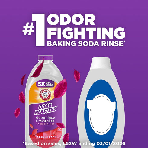 HAMMER 50 oz ARM & Odor Blasters Deep Rinse and Revitalize Fabric Rinse, Laundry Additive, Eliminates Sweat and Musty