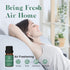 ASAKUKI Essential Oil Blends Set for Diffusers, Calming, Dreams, Breathe, Relaxing Aromatherapy Oils