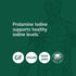 Standard Process Prolamine Iodine - 90 Tablets for Thyroid Support with Prolamine Iodine, Calcium Lactate & Magnesium